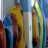 Rolling Session – Wed March 14 – Inglewood Pool