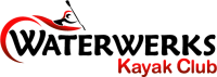 Chameleon Logo